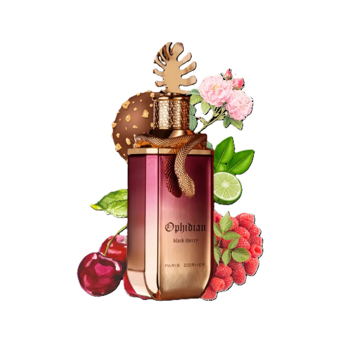 BLACK CHERRY OPHIDIAN  100ML – PARIS CORNER