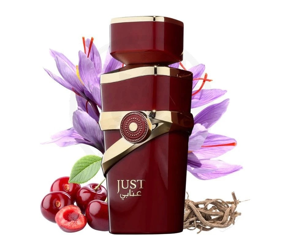JUST ANABI 100ML – FRAGRANCE WORLD