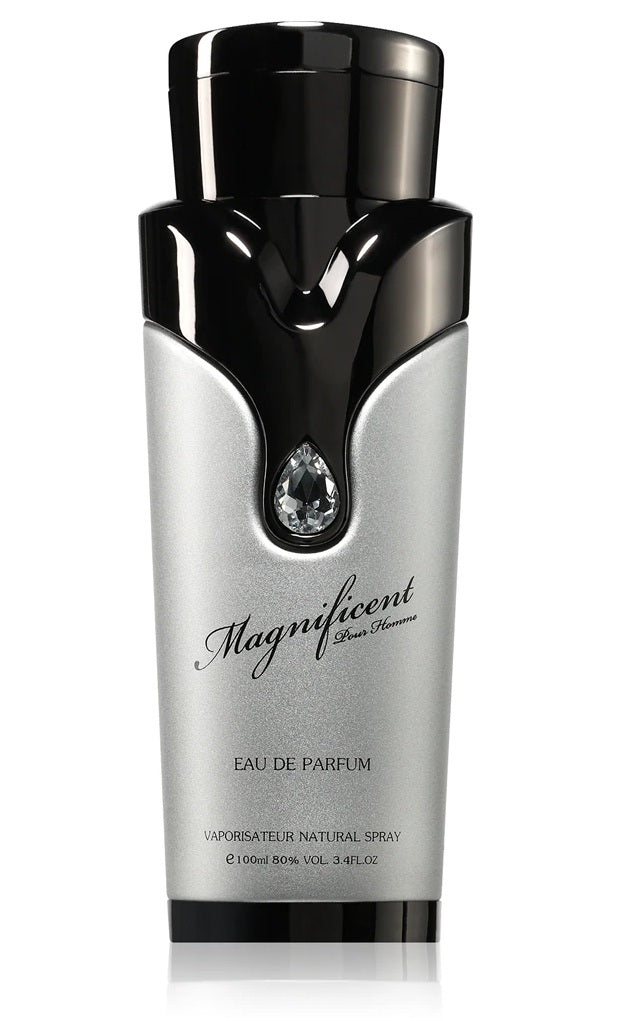 MAGNIFICENT POUR HOMME 100ML- ARMAF