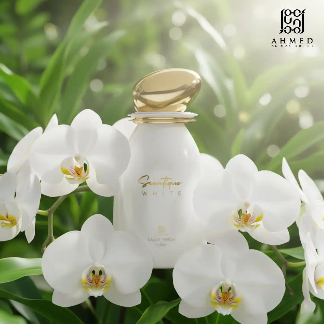 SCENTIQUE WHITE 100ML - AHMED AL MAGHRIBI